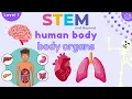 Download Lagu Human Body Organs | Science For Kids | STEM Home Learning