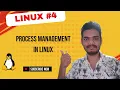 Process Management in Linux Linux Day 4
