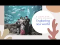 Download Lagu KURA-KURA RAKSASA!! ( Sea World ) Jakarta