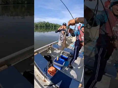 PESCANDO PARGOS EN UN RÍO DE COSTA RICA