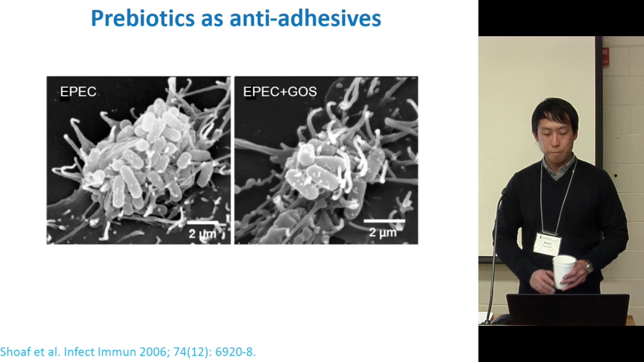Dr. Richard Wu: Prebiotics -- More than just bug food?
