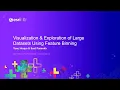 Visualization Exploration of Large Datasets Using Feature Binning