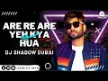 Are Re Are Yeh Kya Hua (Remix) | DIl Toh Pagal Hai | DJ Shadow Dubai | @ReMixZInfo