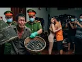 Download Lagu Hậu Giang Bàng Hoàng: Chồng Đi Đặt Lú Về, Tá Hỏa Thấy Vợ Đang \