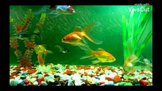 وبحبك ايوه بحبك 