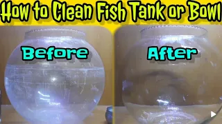 Download How to Clean fish tank Salt deposit Tamil | Easy way to clean fish tank Salt deposit MP3