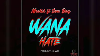 msolid ft son boy wana hate mp3 audio
