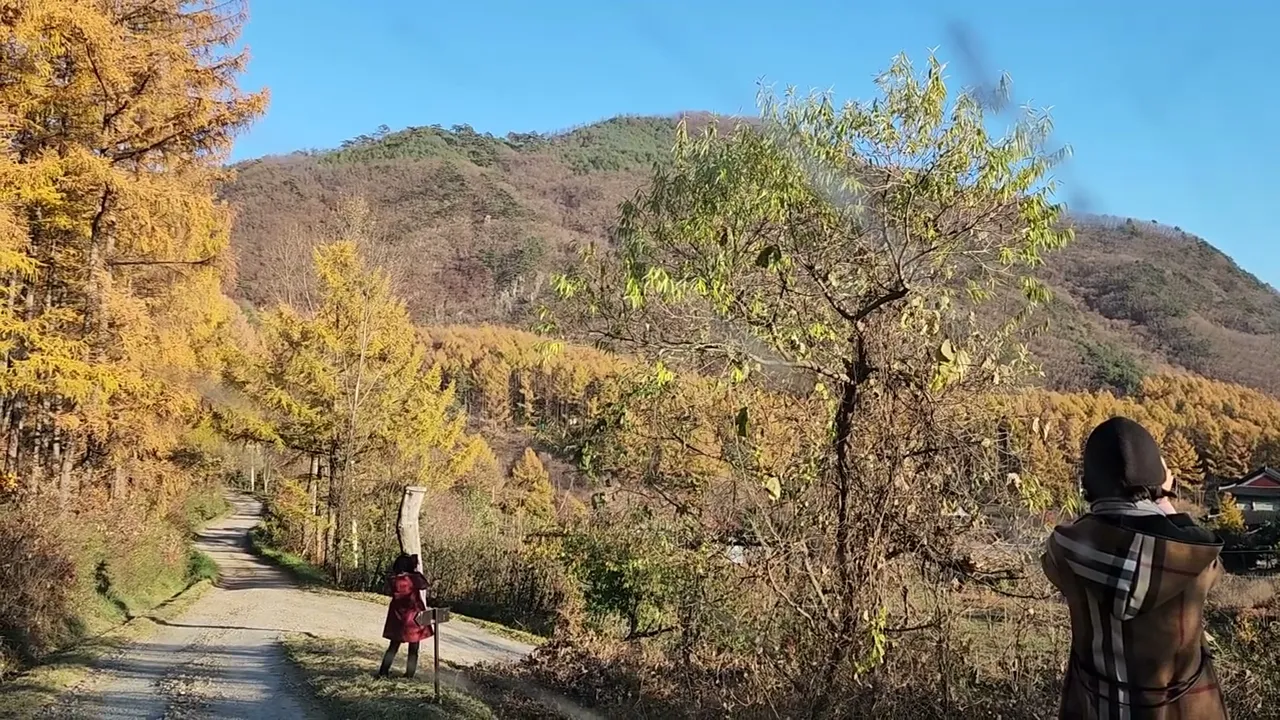 관련 영상 썸네일