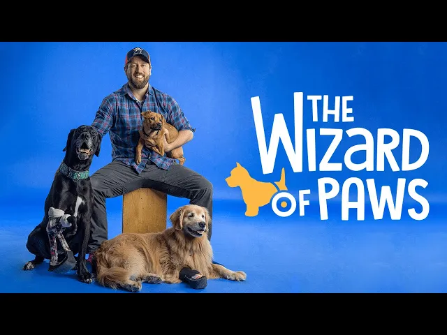 Wizard of Paws Season 4 Promo - Stream Now on BYUtv!