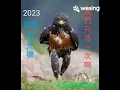 我們只活一次啊/合唱：王如龍 VS julungwang