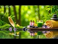 Download Lagu Soothing Music \u0026 Nature Sounds for Sleep, Meditation, Relax 🌿 Stress Relief, Relaxing Sleep Music