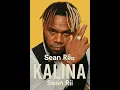 Download Lagu Sean Rii - Kalina | Island Reggae 2025 (Official Audio) | Tropical Vibes 🌴