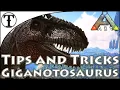 Fast Giganotosaurus Taming Guide Ark Survival Evolved Tips and Tricks