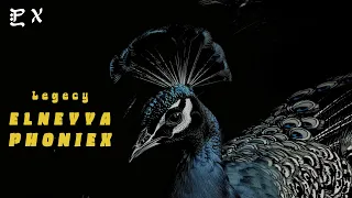 ليجي سي   النيه  فونيكس ريمكس                                         دندنها