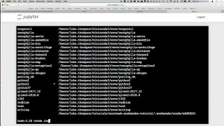 Python for Data Analysis 2018-19 - Lesson 13