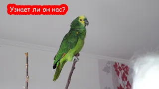 Мы не виделись 2,5 месяца. Узнает ли он нас. Укусил Костю