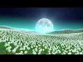 Melhem Barakat - Zhohour El Amar | ملحم بركات - احلى ظهور القمر