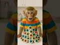 Download Lagu baby monkey eating gummy eyeballs 😋