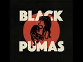 Black Pumas - Touch The Sky (HD)