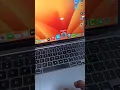 Change Dock Size in Mac OS