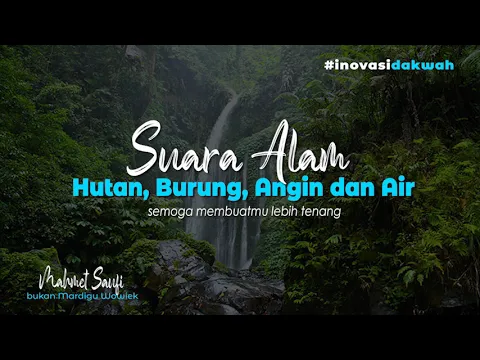 Download MP3 suara alam terbaik bikin kamu tenang | hutan, burung, angin dan air