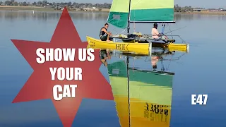Show us your cat! Episode 47 Brazil, Canada and USA