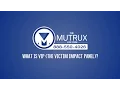 What is Victim Impact Panel VIP