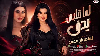 لما قلبى يدق يدق   تعالب لفه حواليا   الملكه يارا محمد   حظ شعبى جديد      دندنها