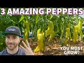 Download Lagu Why I'm OBSESSED With These 3 Special Pepper Plants!