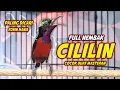 Download Lagu MASTERAN KONIN GACOR FULL ISIAN TEMBAKAN CILILIN !! COCOK BUAT PANCINGAN KOLIBRI NINJA AGAR EMOSI