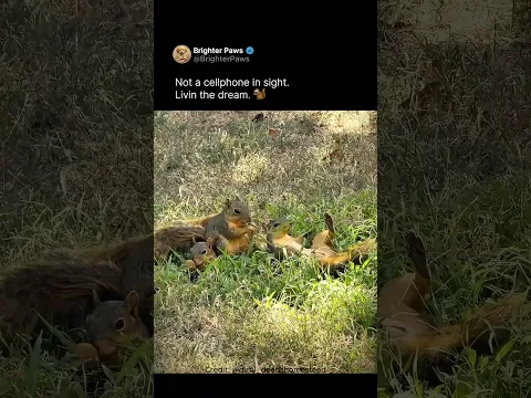 Sleeping like rent is due tomorrow🐿️