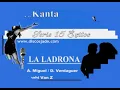 Karaokanta - Diego Verdaguer - La ladrona