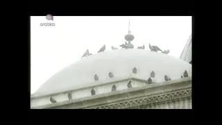 وائل جسار   يمامة   يمامات       دندنها