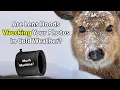 Are Lens Hoods Wrecking Your Photos In Cold Weather