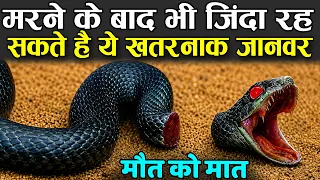 मरने के बाद भी जिंदा रह सकते है ये जानवर | Animal That can live After Death