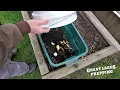 5 Minute Compost Bin - Composting for Beginners