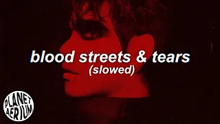 Download blood streets \u0026 tears (slowed) || bts \u0026 doja cat mashup MP3