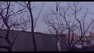 3 Minutes In Rainy Day ٣ دقائق في جو وصوت المطر 