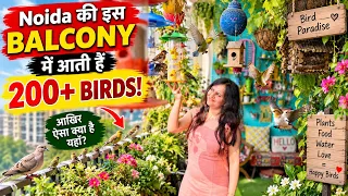 Noida की इस Balcony में 200+ Birds क्यों आती हैं? ये Balcony देखकर आप भी अपने घर में ऐसा करना चाहोगे
