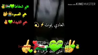 طلو طلو أهل الرايه الخضره  طلو طلو أهل الرايه الخضره