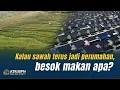 Lagu KALAU SAWAH TERUS JADI PERUMAHAN, BESOK MAKAN APA?
