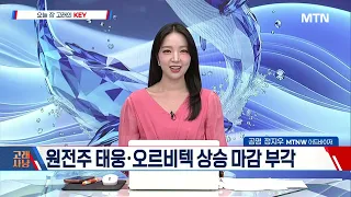 [고래사냥] 외국인, 삼성전자 SK하이닉스 집중 매수...따라갈까? / 머니투데이방송 (증시, 증권)