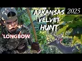 HUNTING VELVET BUCKS IN ARKANSAS WITH A LONGBOW Traditional Bowhunting