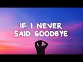 Download Lagu Jamie Grey - If I Never Said Goodbye (Lyrics)