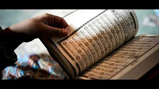 فقه المرأة المسلمة د آمال عبد الغني تتناول كيفية تطهير المنزل 