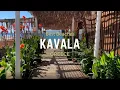 Lagu Best Beaches Around Kavala, Greece | La Roca Beach Bar