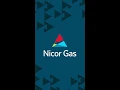Your Monthly Gas Bill Want to Understand Your Charges
