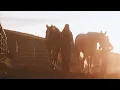 Let Your Horses Run: Lammle's x Brett Kissel