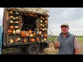 Three Nunns Farm Pumpkin Patch Opens Now Open in Brentwood 2025
