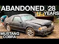 Abandoned Mustang Cobra First Wash in 28 Years Insane Before and After Transformation